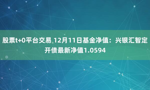 股票t+0平台交易 12月11日基金净值:兴银汇智定开债最新净值1.0594