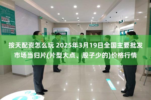 按天配资怎么玩 2025年3月19日全国主要批发市场当归片(片型大点、股子少的)价格行情