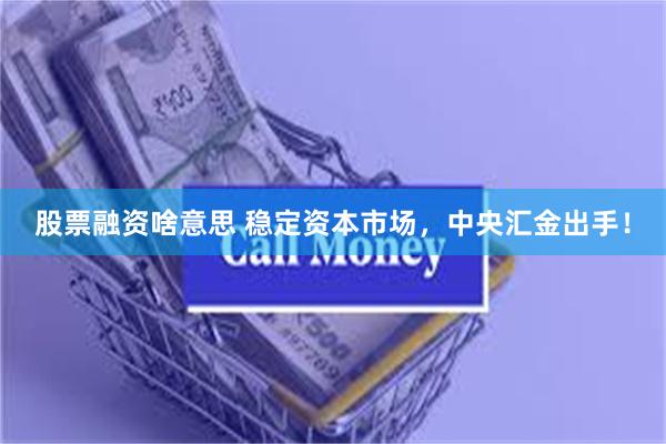 股票融资啥意思 稳定资本市场，中央汇金出手！
