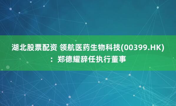 湖北股票配资 领航医药生物科技(00399.HK)：郑德耀辞任执行董事