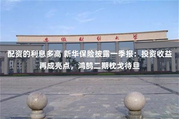 配资的利息多高 新华保险披露一季报：投资收益再成亮点，鸿鹄二期枕戈待旦