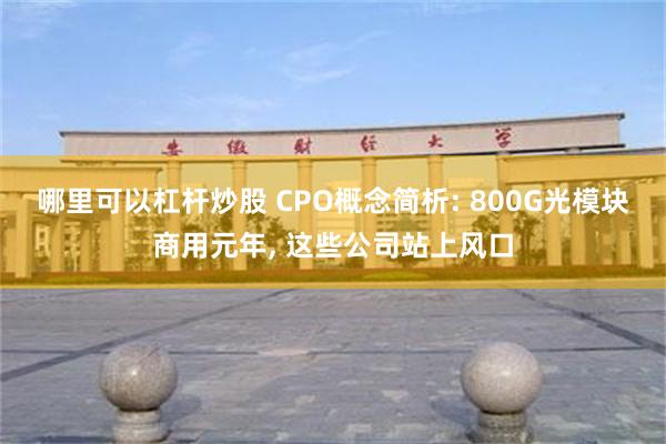 哪里可以杠杆炒股 CPO概念简析: 800G光模块商用元年, 这些公司站上风口