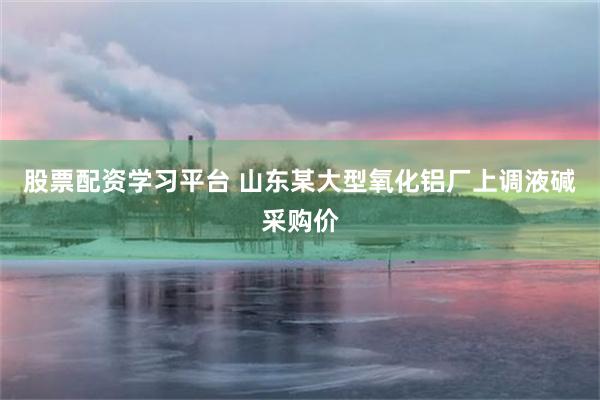 股票配资学习平台 山东某大型氧化铝厂上调液碱采购价