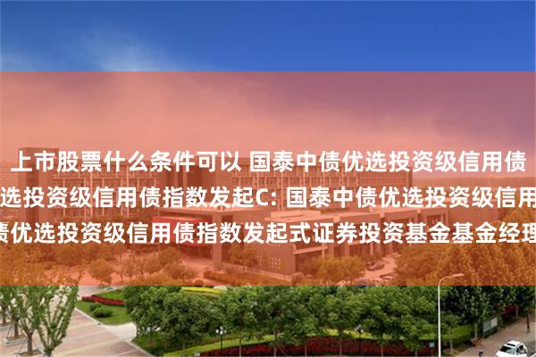 上市股票什么条件可以 国泰中债优选投资级信用债指数发起A,国泰中债优选投资级信用债指数发起C: 国泰中债优选投资级信用债指数发起式证券投资基金基金经理变更公告