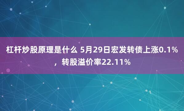 杠杆炒股原理是什么 5月29日宏发转债上涨0.1%，转股溢价率22.11%