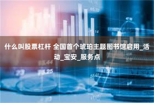 什么叫股票杠杆 全国首个琥珀主题图书馆启用_活动_宝安_服务点