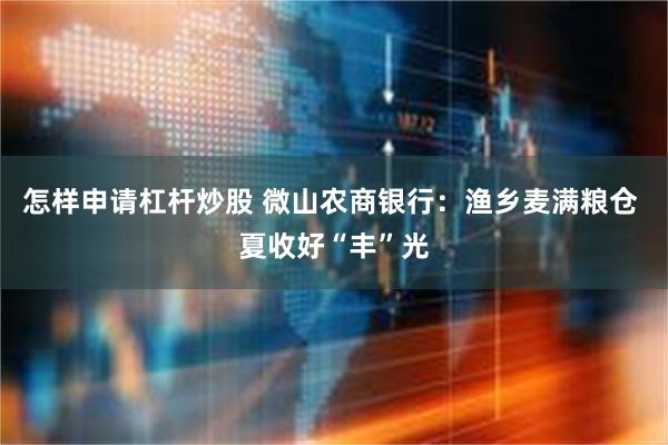 怎样申请杠杆炒股 微山农商银行：渔乡麦满粮仓 夏收好“丰”光